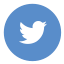 1461955450_twitter_circle_color.png